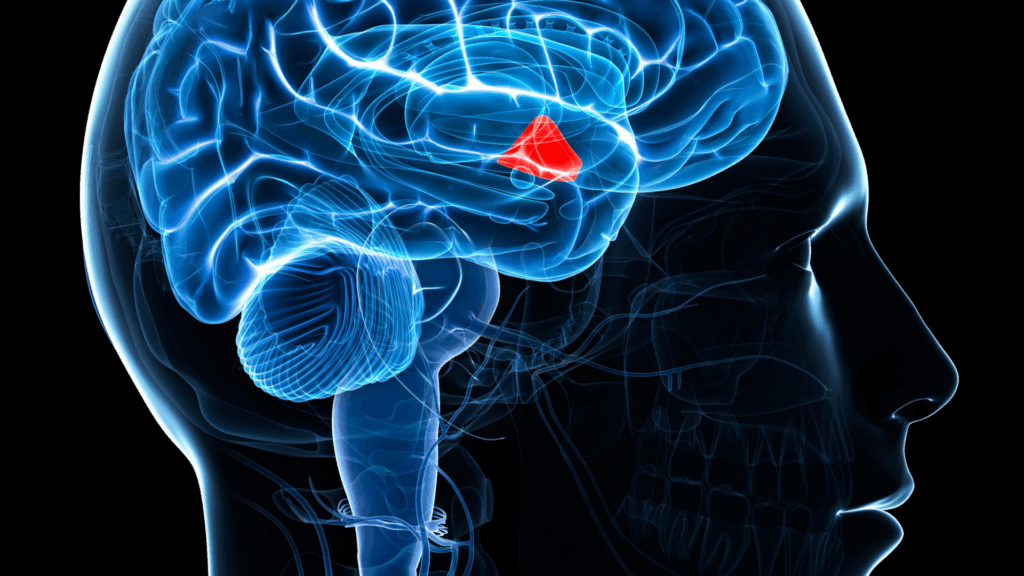 Hypothalamus reset