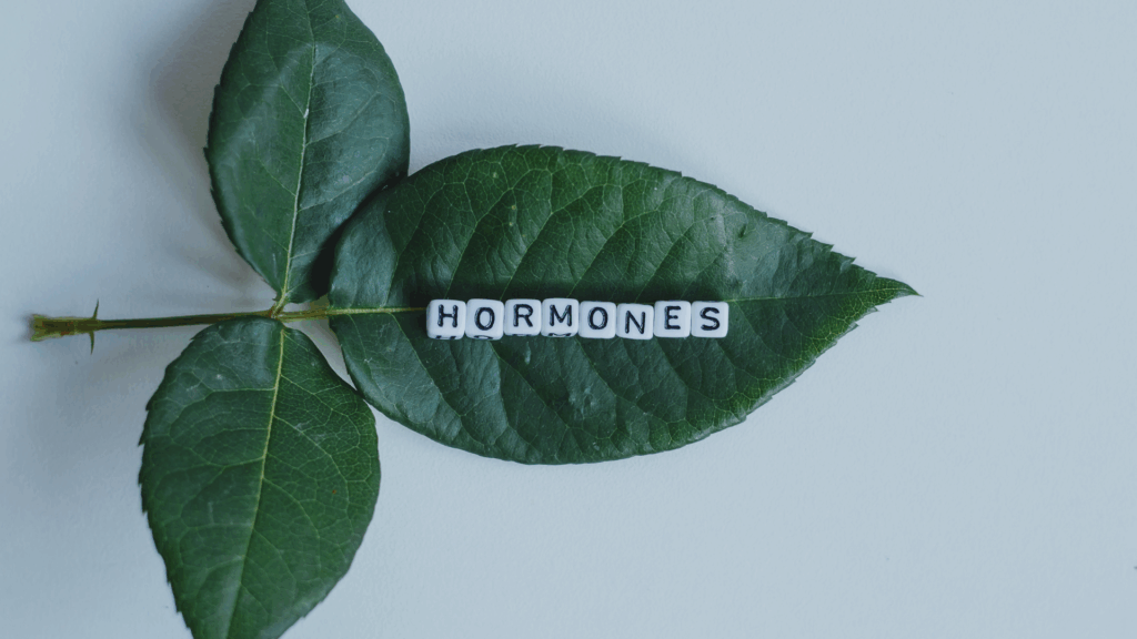 hormonen en overgang
